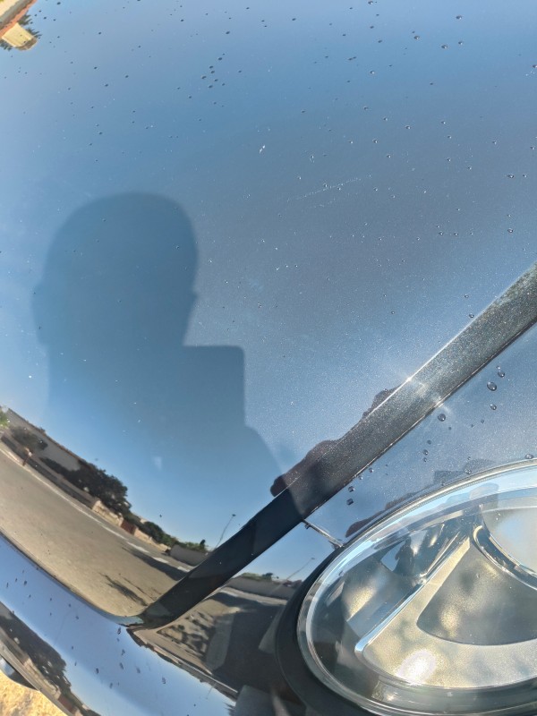 Polissage de carrosserie pour élimination des micro rayures sur une Volkswagen New Beetle noir à Fos-sur-Mer proche de Martigues.